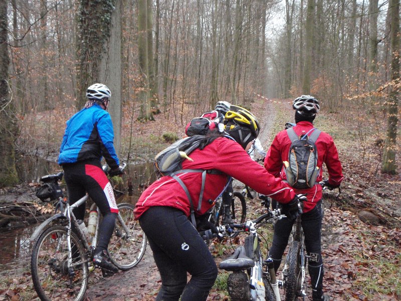 Waldtour 041